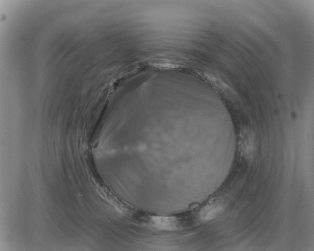 X0000080690371200612301455