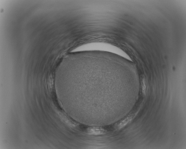 X0000080690372200612301455