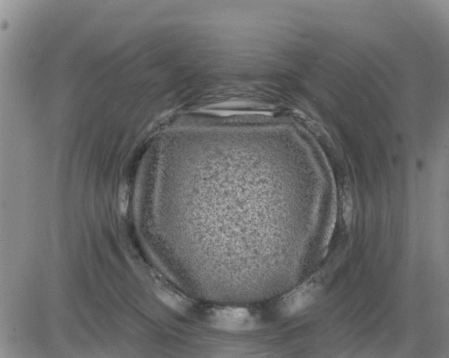 X0000080690374200612301455