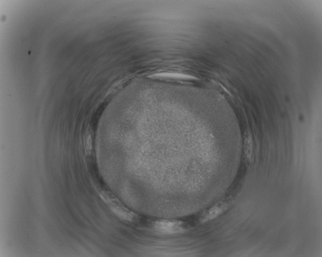 X0000080690375200612301455