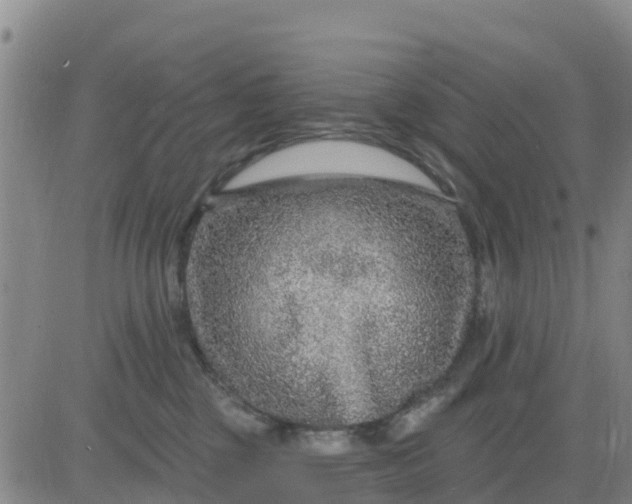 X0000080690377200612301455