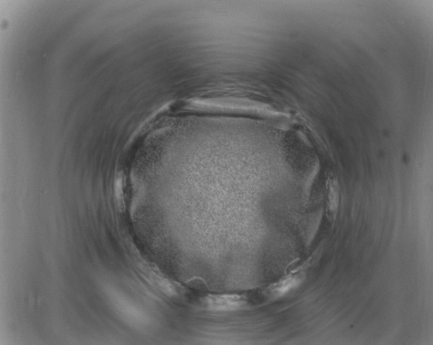 X0000080690378200612301455