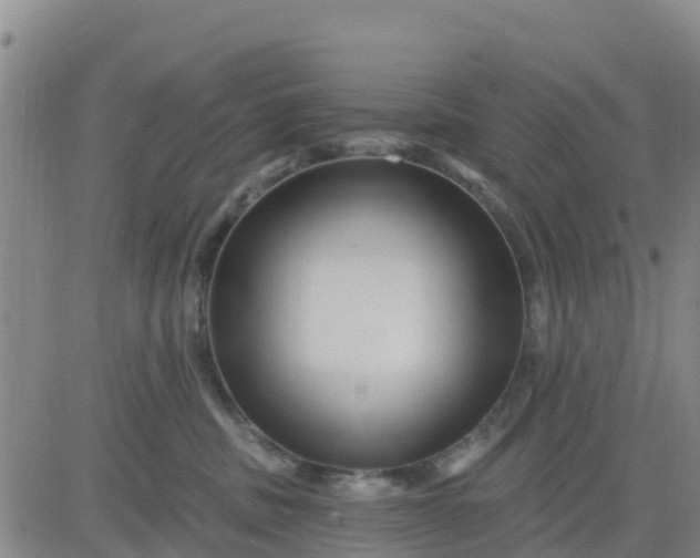 X0000080690379200612301455