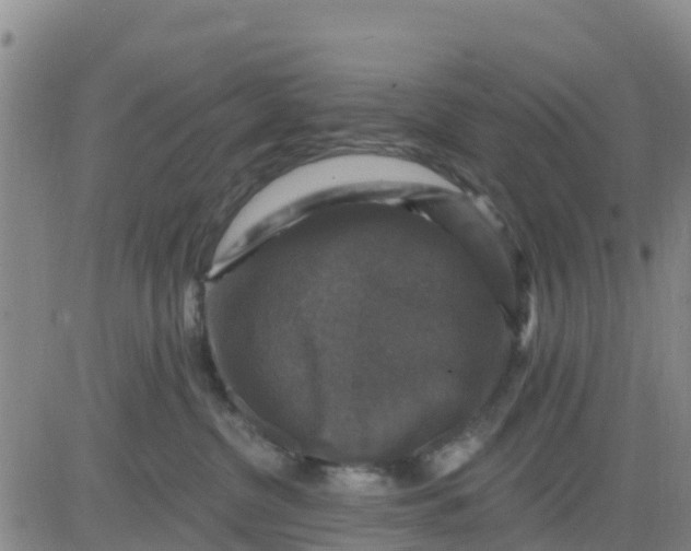 X0000080690380200612301455