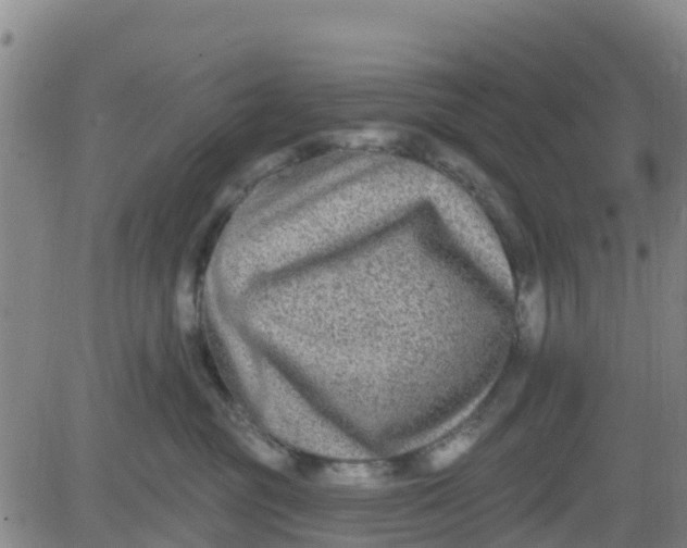 X0000080690381200612301455