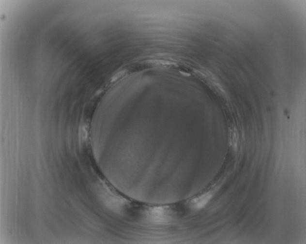 X0000080690382200612301455