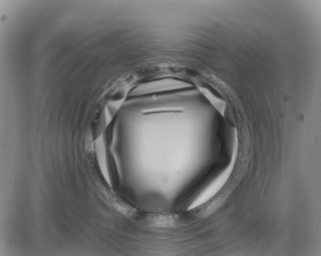 X0000080690384200612301455