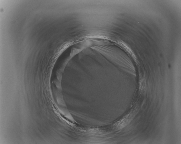 X0000080690385200612301455