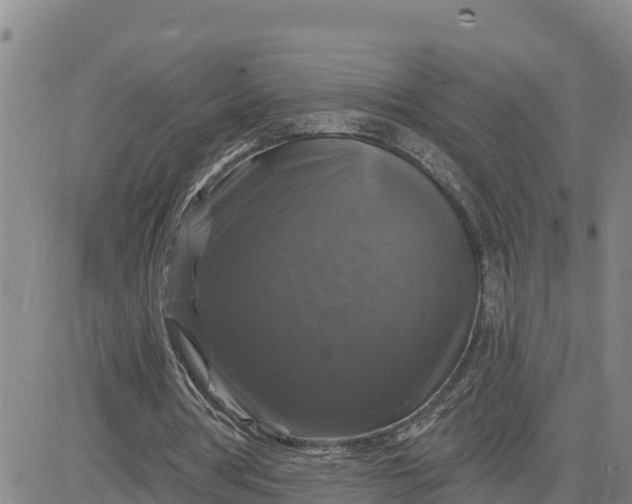 X0000080690386200612301455