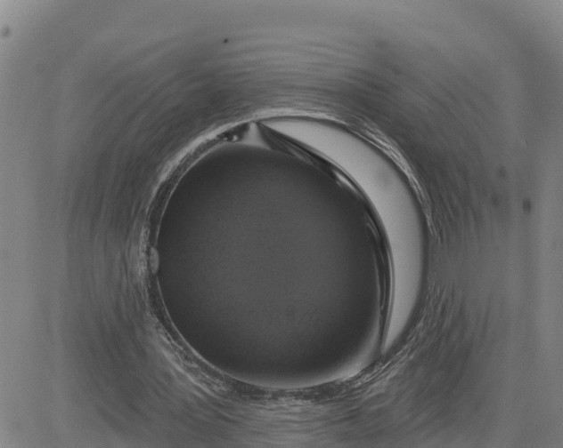 X0000080690387200612301455