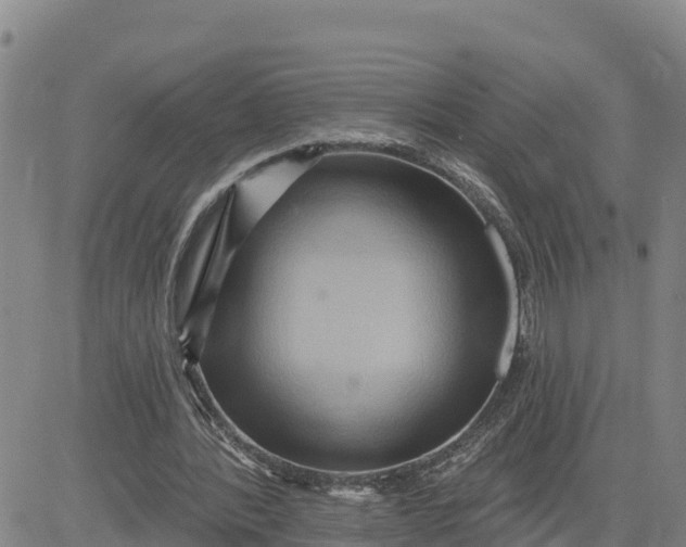 X0000080690388200612301455