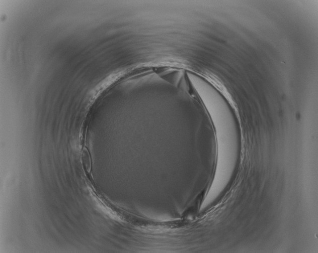 X0000080690389200612301455