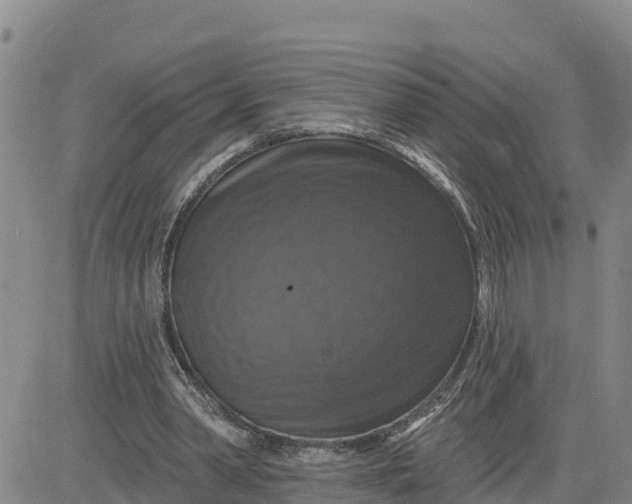 X0000080690390200612301455