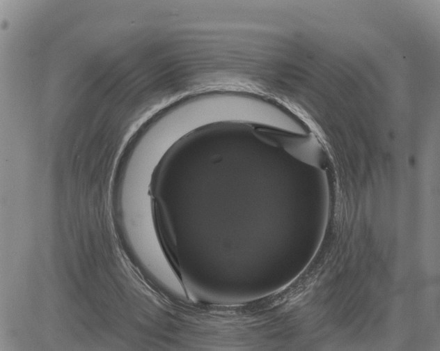 X0000080690391200612301455