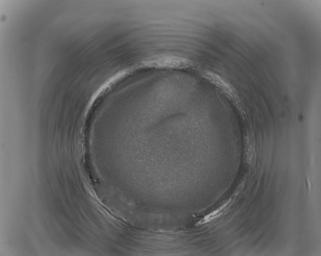 X0000080690392200612301455