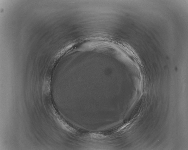 X0000080690393200612301455