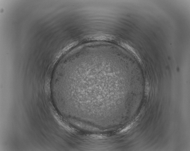 X0000080690394200612301454