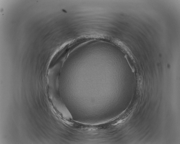 X0000080690395200612301454