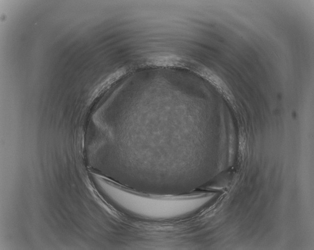 X0000080690397200612301454