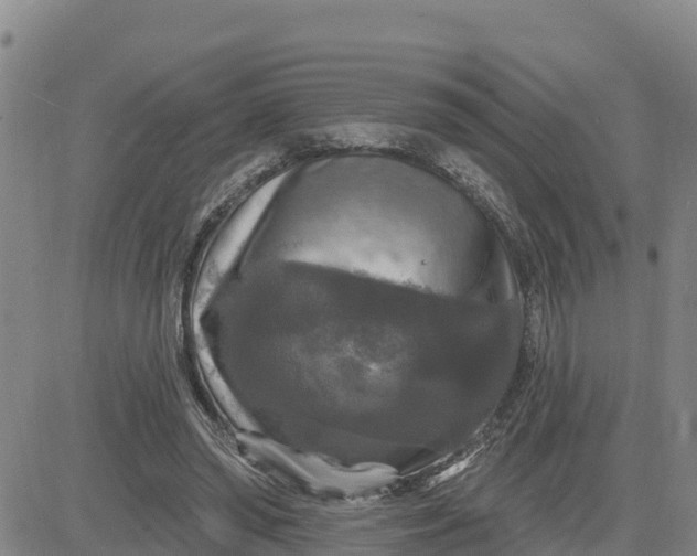 X0000080690398200612301454