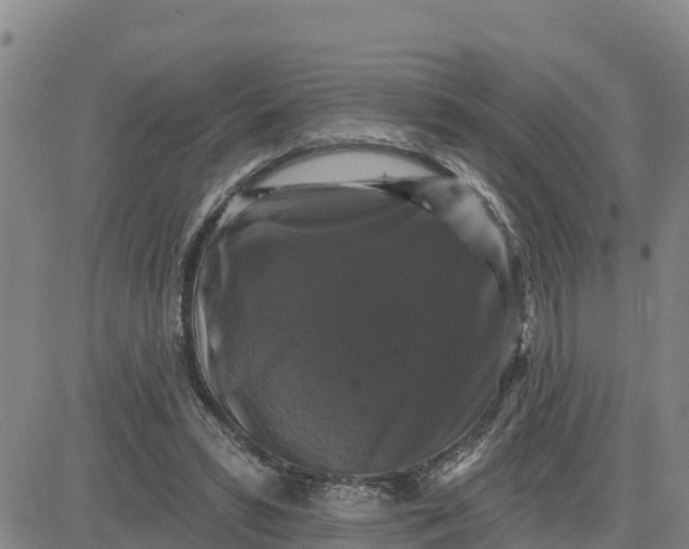 X0000080690399200612301454