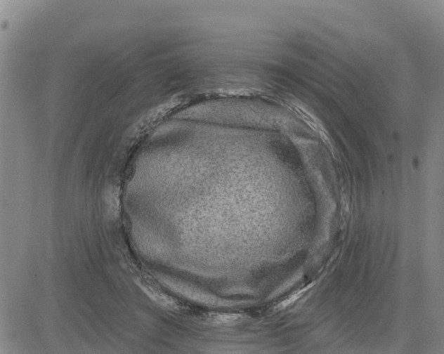 X0000080690401200612301454