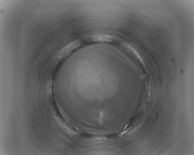 X0000080690402200612301454