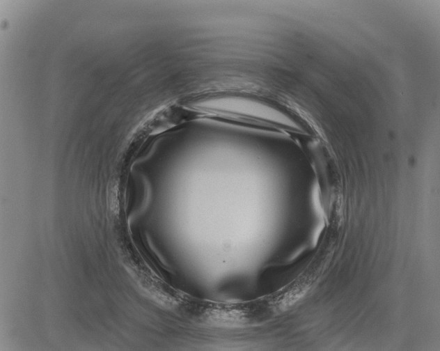 X0000080690403200612301454