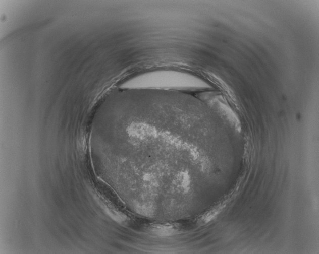 X0000080690405200612301454