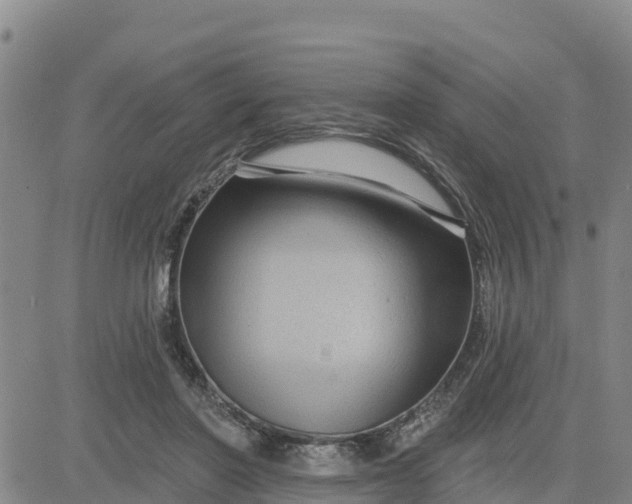 X0000080690406200612301454