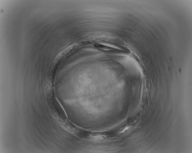 X0000080690407200612301454