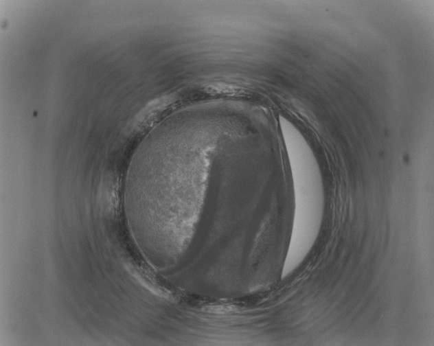 X0000080690408200612301454