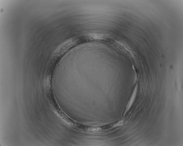 X0000080690410200612301454