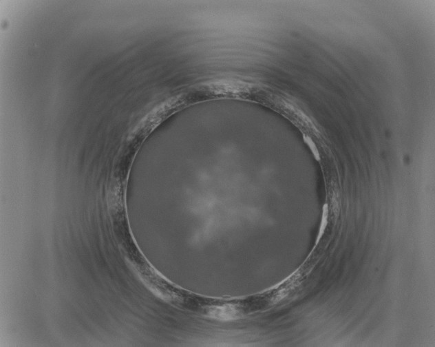 X0000080690411200612301454