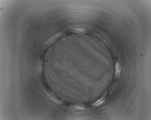 X0000080690412200612301454