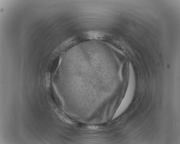 X0000080690413200612301454