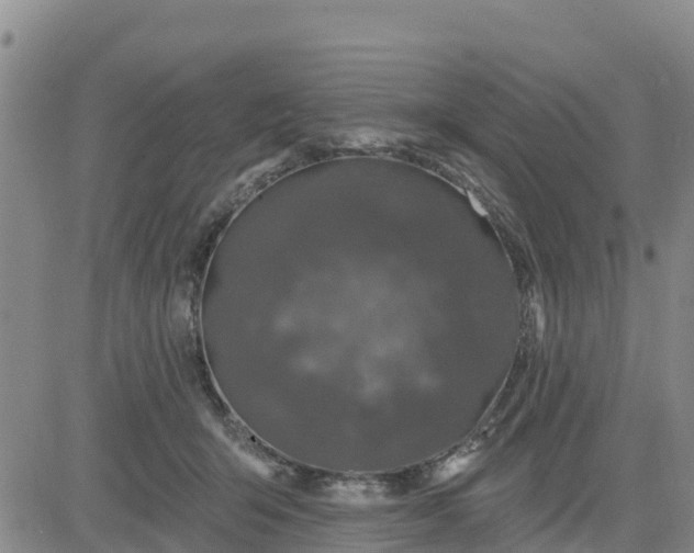 X0000080690415200612301454