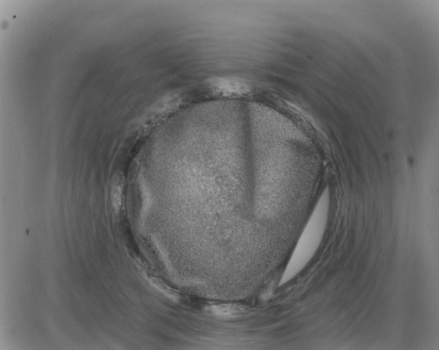 X0000080690417200612301454