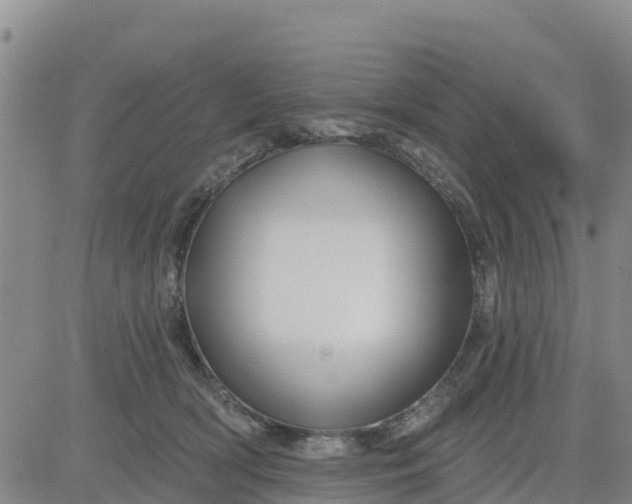 X0000080690418200612301454