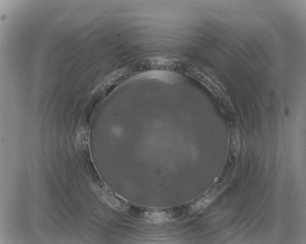 X0000080690419200612301454