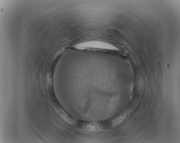 X0000080690420200612301454