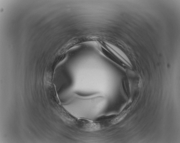 X0000080690421200612301454