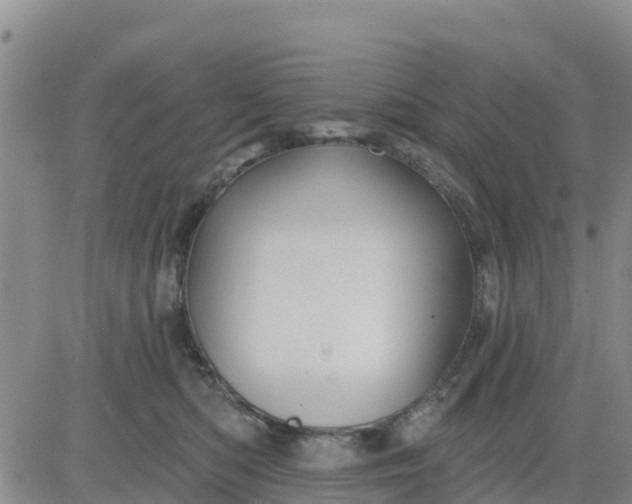 X0000080690422200612301454