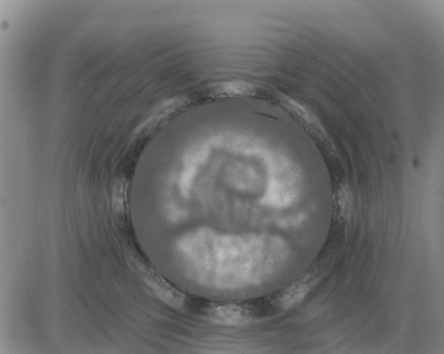 X0000080690423200612301454