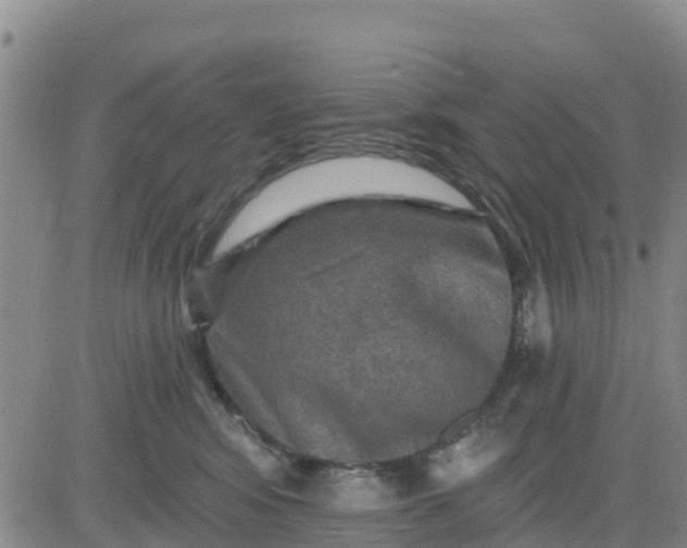 X0000080690424200612301454