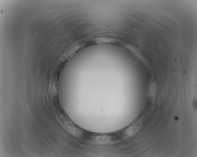 X0000080690426200612301454