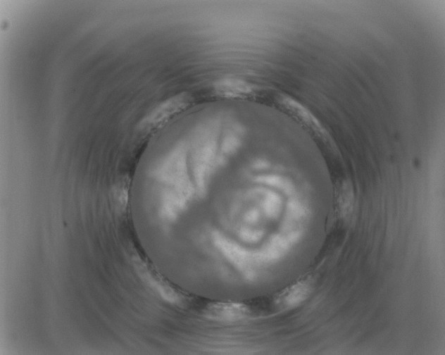 X0000080690427200612301454