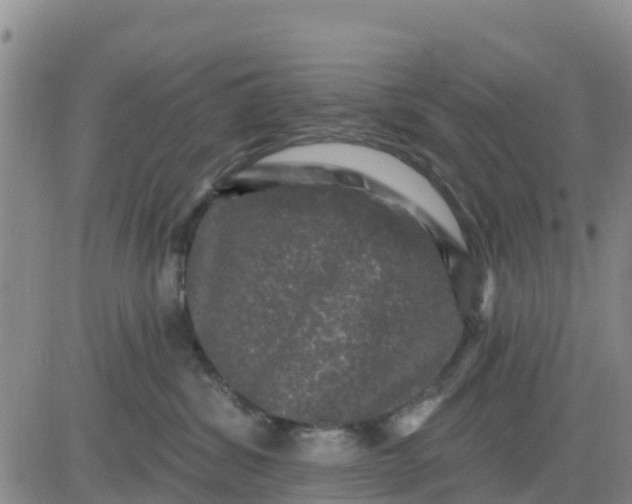 X0000080690428200612301454