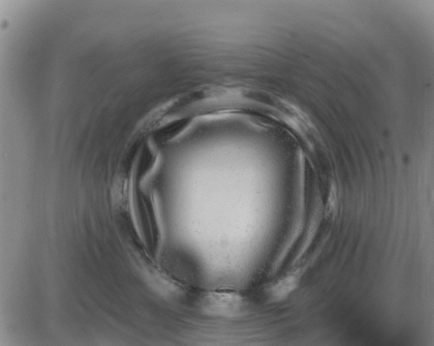 X0000080690429200612301454