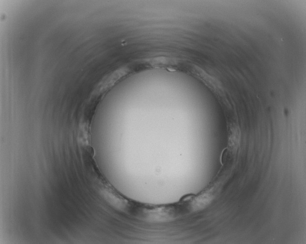 X0000080690430200612301454